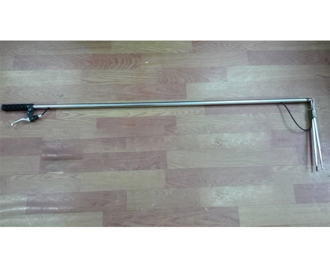 ����Դ�L(zh��ng)���A